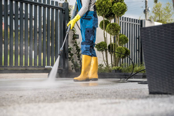 Best Driveway Pressure Washing  in Homosassa Springs, FL