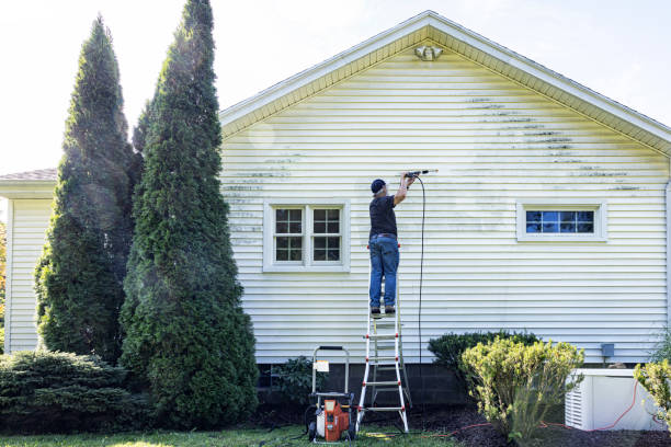 Best Solar Panel Cleaning  in Homosassa Springs, FL