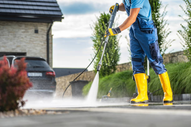 Best Driveway Pressure Washing  in Homosassa Springs, FL